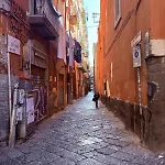 Vigi *