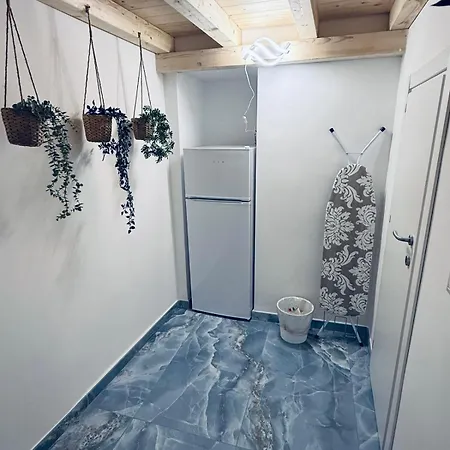 Vigi *