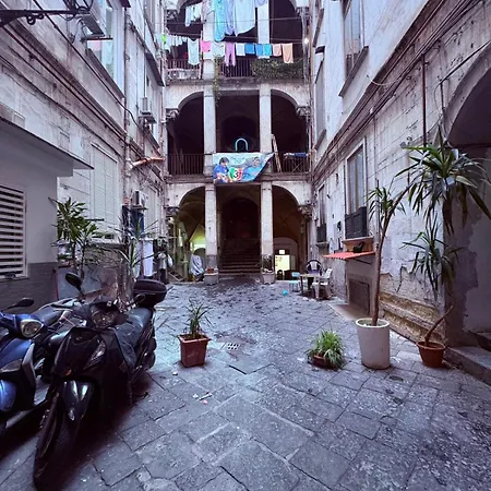 Vigi نابولي